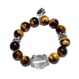 Tiger's Eye1