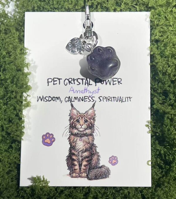 Cat's Paw Pendant Crystal